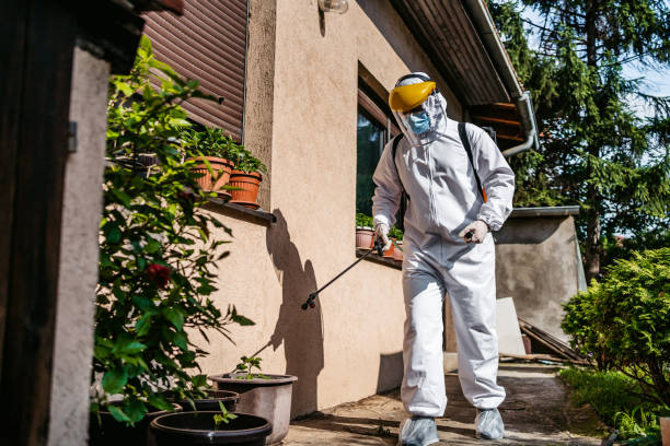 Reliable Poquonock Bridge, CT Pest Control Solutions