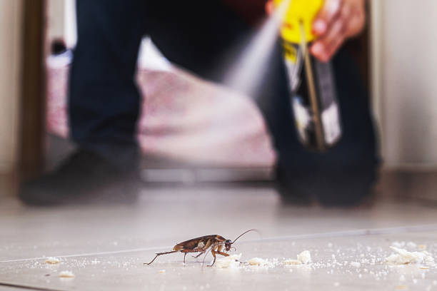 Best Residential Pest Control  in Poquonock Bridge, CT