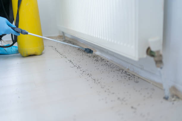 Best Affordable Pest Control Services  in Poquonock Bridge, CT